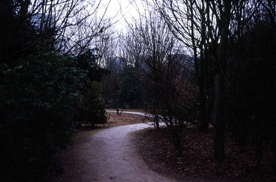 Ikonta Parc Matisse008.jpg (format web)